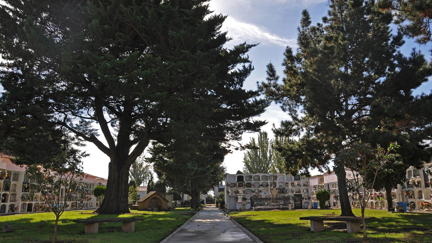 El cementiri de Pineda és un cementiri rectangular amb un gran jardí central. Aquesta és una vista des de la porta de la capella vers la porta d'entrada